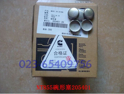 NT855碗形塞205401.jpg