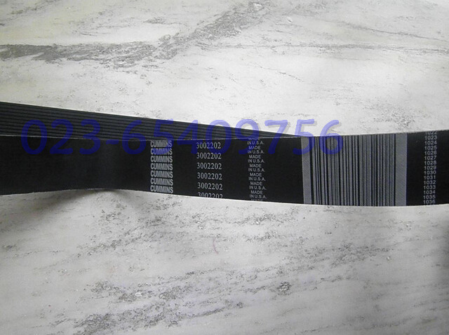 3002202-1.jpg