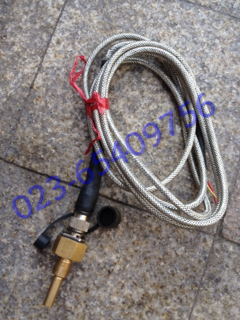 ED211A1柴油监控仪用油温传感器1.jpg
