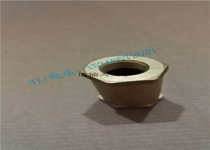 3065825单向阀-3