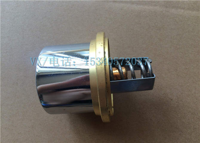 3165319汽车节温器-1