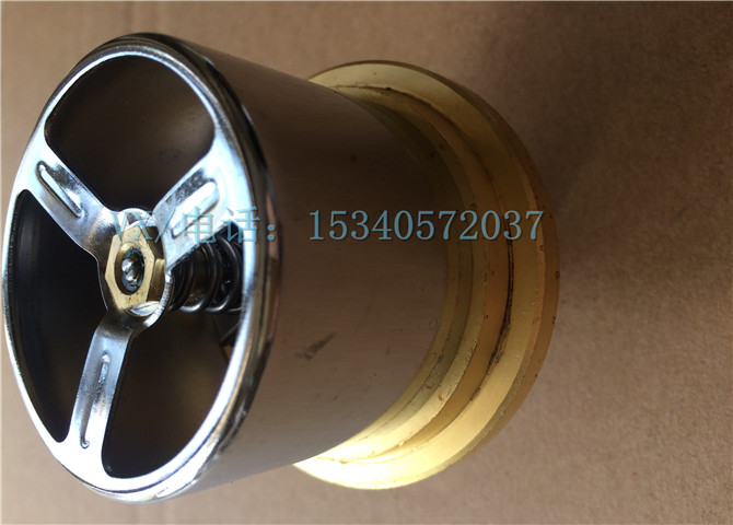 3165319汽车节温器-3