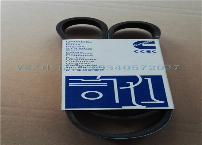 4009638皮带护罩-3