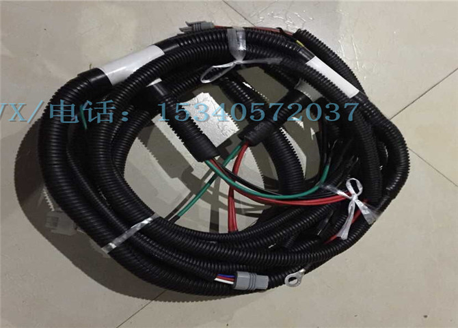 1004830线束-1