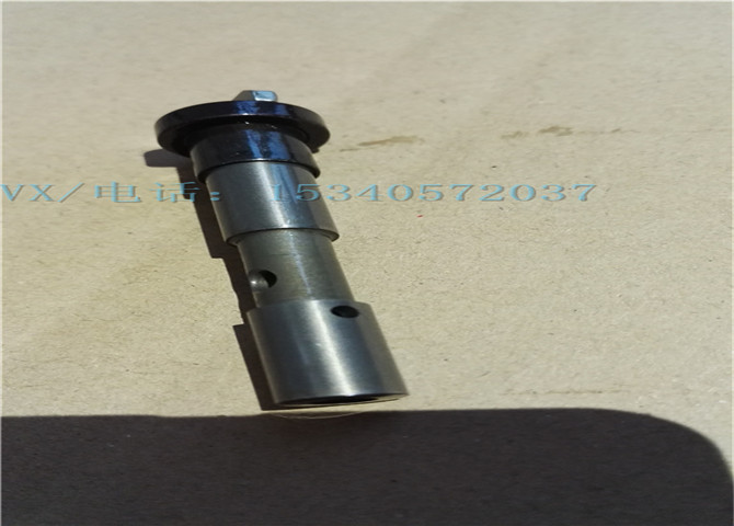 3009380调速器柱塞-3