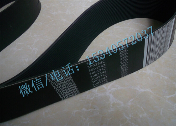 3003342.jpg