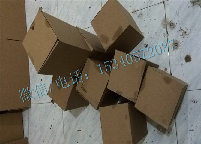 3022157.jpg
