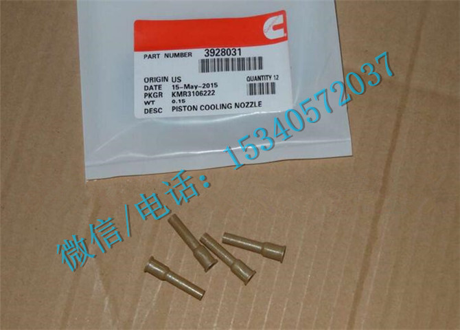 C3928031.jpg