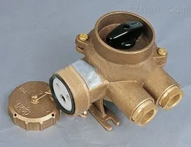 CZKH209-5,CZKH219-5 船用铜质带开关插座