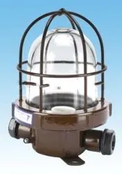 CCD9-2,CCD9-2B船用白炽灯