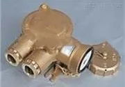 CZH202-1船用铜质插座，CZH212-1船用铜质插座