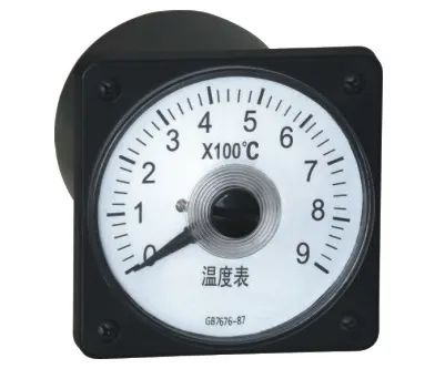 63C18/63C19/2181/AH-80温度表C