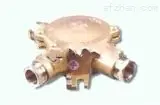 JXH301，JXH311 船用铜质接线盒