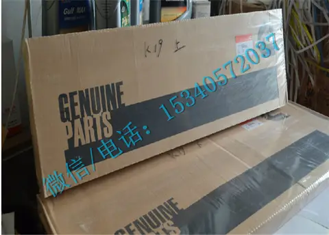 康明斯KTA19发动机配件3010242修理包